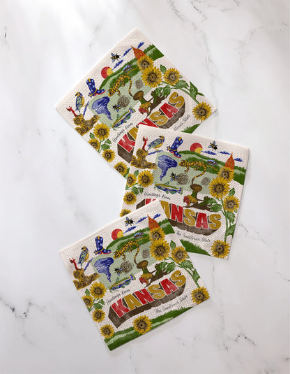 Geometry Dishcloth Set 3 Greetings From Kansas